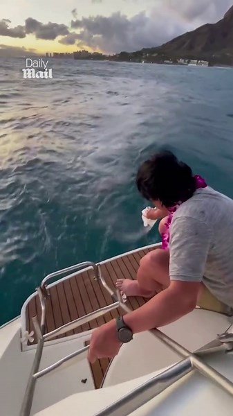 Harrowing full story behind discovery of 200 rotting corpses