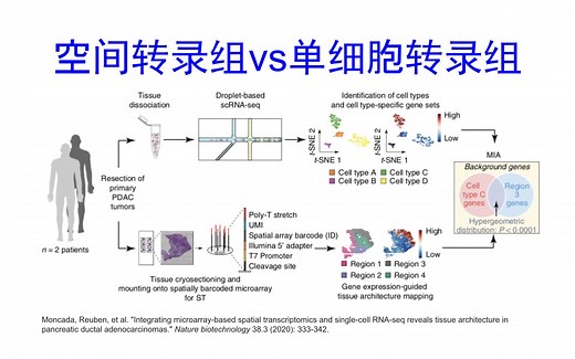空间转录组和单细胞转录组区别和选择| Spatial Transcriptomics vs scRNA-seq