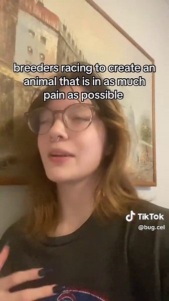 Ethically Questionable Dog Breeding Practices Explained