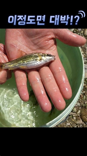 통발에 이정도 잡히면 대박!?