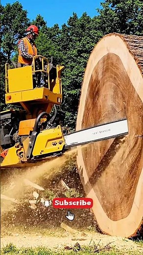 Massive Tree Cut by Extreme Chainsaw Machine #chainsaw #lumberjack #workworld