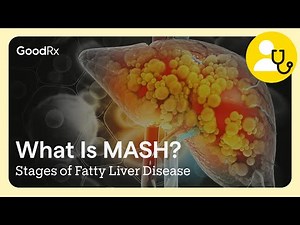 What Is MASH and MASLD? | Stages of Fatty Liver Disease | GoodRx