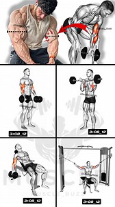 21K views · 412 reactions | Biceps workout #biceps #bodybuilding #gym | Muscle Buzz | Facebook