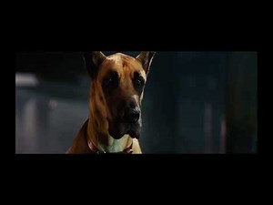 marmaduke: Bosco‘s party ￼