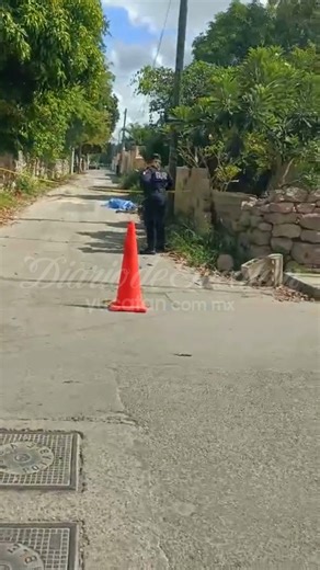 #MÉRIDA | ⚠️ Tragedia en Cholul: un ciclista muere tras ser atropellado. El conductor responsable huyó del lugar. | Diario de Yucatán
