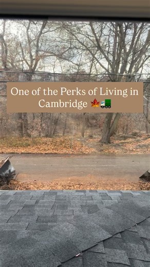 The Springle Real Estate Team on Instagram: "Fall in Cambridge isn’t just beautiful — it’s efficient. One of the things we absolutely love about this city is the curbside leaf removal program. All you have to do is check the City of Cambridge website for your pickup week, sweep your leaves to the road, and let the crews take care of the rest. Easy, clean, and such a great reminder of how well this community is cared for. It’s the little things that make a place feel like home… and Cambridge does