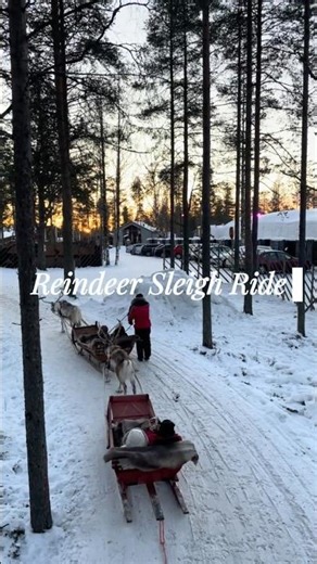 フィンランドに行ってみた！(6) #海外旅行 #travel #旅行 #旅行vlog