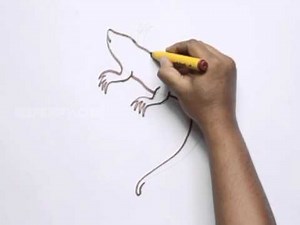 How to Draw a Salamander