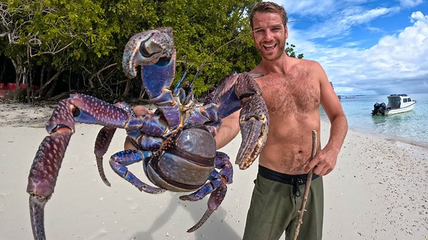 RARE GIANT Crab Found on Land!