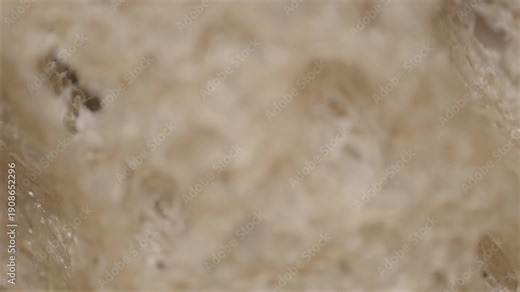 Macro image of bread surface texture captured via microscope objective at 2.4× magnification with 15 mm field of view. Porous crumb structure and naturally developed surface