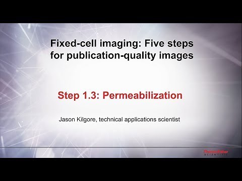 1.3 Permeabilization–Fixed cell imaging: 5 steps for publication-quality images