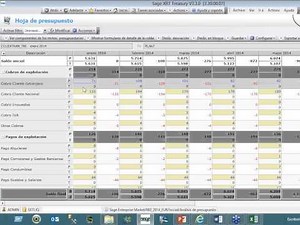 El presupuesto de Tesorería con Sage XRT