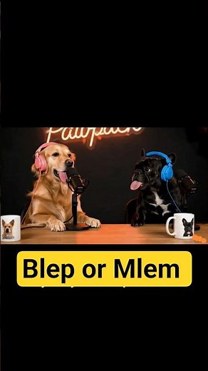 Blep or Mlem? What Your Dog’s Tongue Is REALLY Saying 🐶👅 | Goldie vs Frenchi podcast