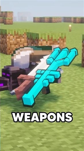 Minecraft's Most Broken SMP... #minecraft #minecraftserver #smp #shorts #bedrock #java