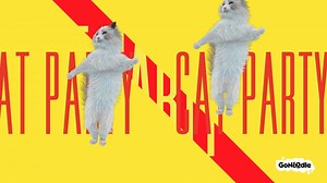 Ain't no party like a CAT PAW-TY! 😻 Can we get a MEOW YEAH?! Watch the full video only on GoNoodle. | GoNoodle