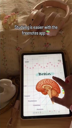 My experience with FreeNote💕