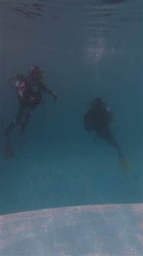 浅い水深で中性浮力が取れるようになりたい #ダイビングライセンス #スキューバライセンス #ダイビング資格 #伊豆ダイビング #ラフィンダイビングスクール #伊豆#SNSI ＃shorts
