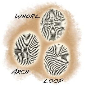 Are Fingerprint Patterns Inherited? #makereducation