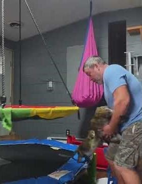 Ape flipping the monkeys 🤣