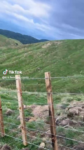 Building a New Fence: Installation Tips and Tricks