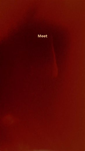 #thegogetters #ibishotels #gogetit #miniseries #creatoreconomy #storytelling #tiktokfirst #socialcontent #brandentertainment | Sarah Wilson