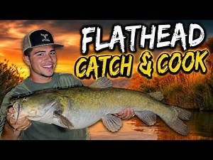 Fishing for Monster Flathead Catfish - Catch and Cook!