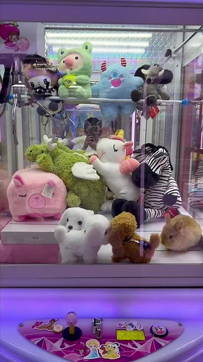 Pet Claw Machine - Day 1