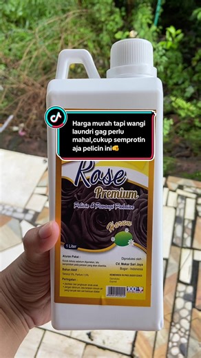 Harga segini aja#racunintiktok #racunpelicinsetrika #pelicinsetrikarosepremium #bismillahrame #pelicinsetrikalaundry