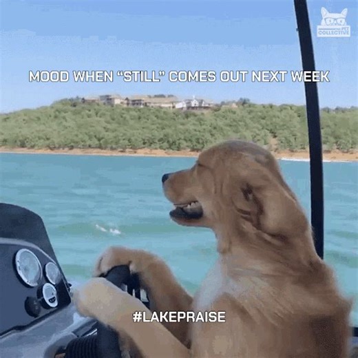 MOOD 🤣! Who’s ready for LAKE PRAISE? Our brand new version of “STILL” with Zach Williams comes out in ONE WEEK! 🙌 Pre-save now to be the first to hear it when it drops! | Crowder Music