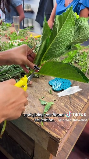 Flower Design Class in Fort Worth: Join the Fun!