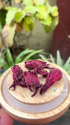 Hibiscus Tea Benefits for Heart Health and Immunity