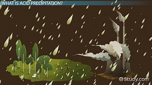 Acid Precipitation: Definition, Causes & Effects - Video | Study.com