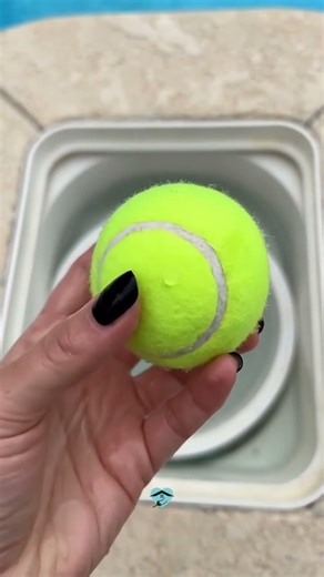 Tennis Ball Trick to Keep Your Pool Clean