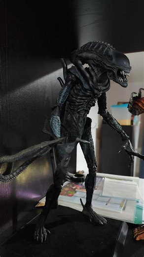 #predalien #predator #alien #avp #samuraipredator