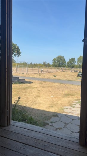 96K views · 7K reactions | 7 years of hee haw lessons… | Useless Farm | Facebook