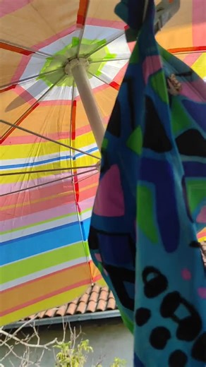 Vintage Speedo Male Swimwear - Etsy