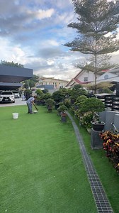 Barbados cherry (scientific name: Malpighia emarginata) is a tropical fruiting tree known for its very high Vitamin C content. In the Philippines, it grows well because it loves warm weather. 🌿 #bonsai #gardening | Romeo Antipuesto Jr