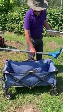 ATRAX Olive Harvester for haskap/honeyberry harvesting 2022