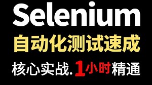 2026最强Selenium自动化测试教程，基础到实战一套通关，零基础快速掌握Selenium