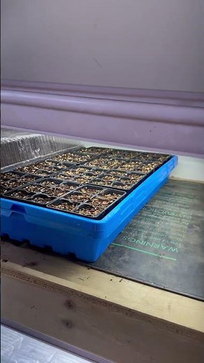 Our Garage Grow Setup: Seed Starting With LED Shop Lights, Heat Mats & More!