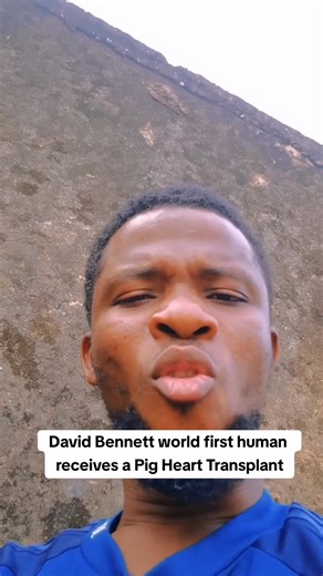 Anatomical Similarities Between Humans and Pigs Revealed