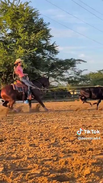 Breakaway Roping Techniques for Horse Riders