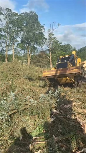 #tigercatforestry #fellerbuncher #tigercat #skidder #forwarder 🌲🚜 | Glen Cadwallader