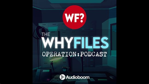 593: Earth's Mantis Overlords | They've Been Here All Along (STRIPPED)