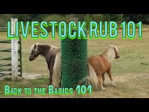 Livestock back scratcher. They love it.