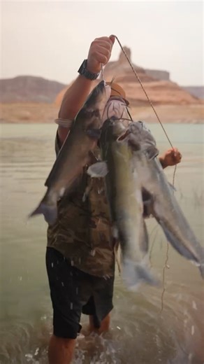 6.2K views · 69 reactions | Cajun Catfish Nuggets ‍ Recipe ⤵️⤵️⤵️...