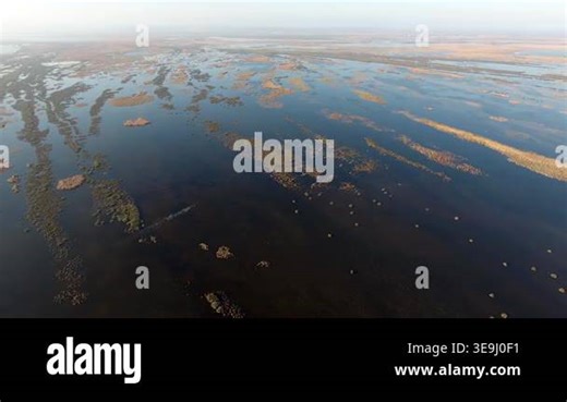 Aerial view of freshwater wetland lakes and reed beds along the Louisiana coastal plain. Calm inland waters near the Gulf Coast reveal pristine marsh ecosystems and natural delta landscapes Stock Video Footage - Alamy