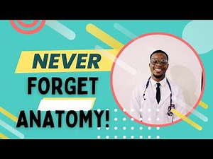 7 proven ways to study anatomy and never forget what you learn! --Watch till the end!
