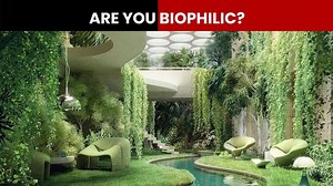If you find yourself confused between whether you are a beach person or a mountain person then you are a biophilic. What is biophilia and how does it impact us? Watch to know all about it. #NewsMo #Biophilic | India Today