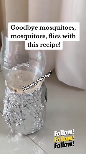 Effective Homemade Recipe to Get Rid of Flies and Mosquitoes